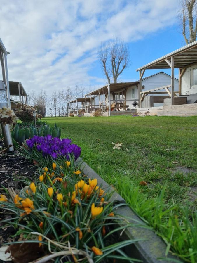 Chalet Tulpenweide - Recreatie Breezand Exterior photo